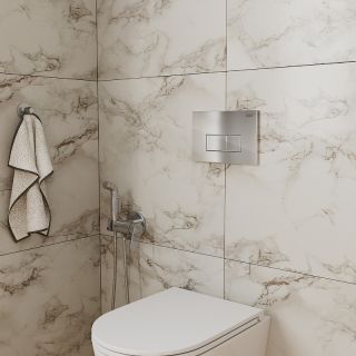 Клавиша смыва DQ Rhein DB1499001 Хром